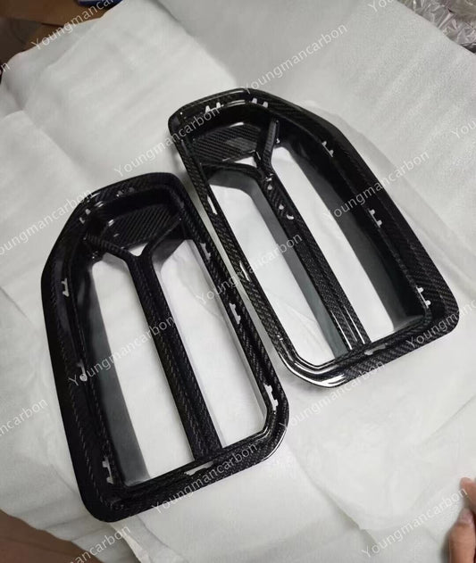 Dry Carbon Fiber Front Kidney CSL Style - G87 M2